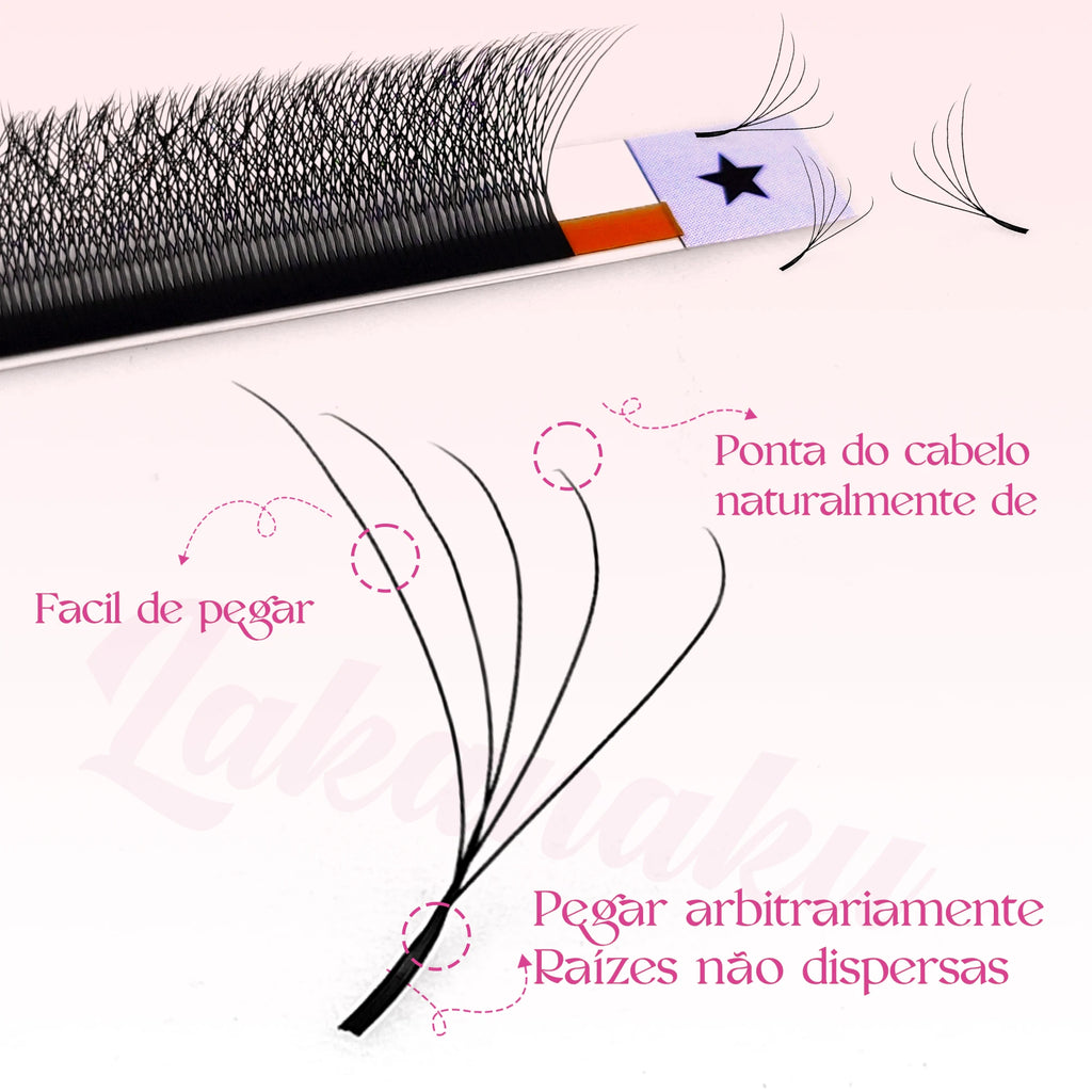 5D W Shape Eyelash Extensions