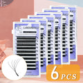 5D W Shape Eyelash Extensions